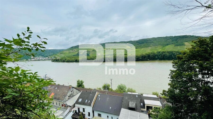 Traumgrundstück mit Panoramablick auf die Rheinkulisse - Sofort bebaubar - Panorama Rhein